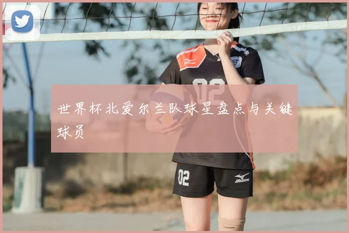 世界杯北爱尔兰队球星盘点与关键球员