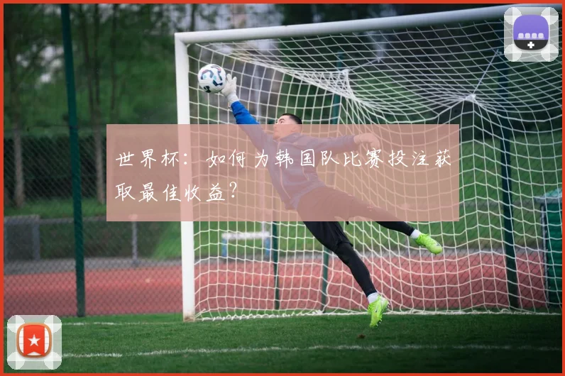 世界杯：如何为韩国队比赛投注获取最佳收益？
