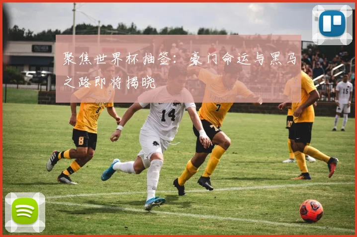 聚焦世界杯抽签：豪门命运与黑马之路即将揭晓